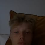 @davidkoslav - Instagram