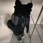 David Kostash - @david_kostash - Instagram