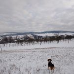 David Kostelansky - @david.kostelansky - Instagram