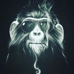 Давид Костенко - @davidkostenko595 - Instagram