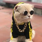Костенко Давид - @kostenkodavid20 - Instagram