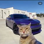 David Košťialik - @davomiloss - Instagram