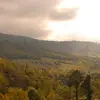 David Kosyan - @david.kosyan - TikTok