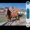 KOSY DAVID 🐴 - @david.kosy - TikTok