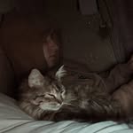 kosyak - @david_kosyak_ - Instagram