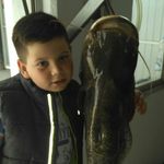 David Kota - @kota_atila_mihajlo_braca - Instagram