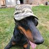 davidkoukol225 - @troublethedoberman - TikTok