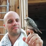 Kováts Dávid - @kovats_david08 - Instagram