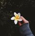 David Kow - Facebook