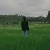 davidkow55 - @davidkow55 - TikTok