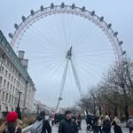 David Kramer - @its_king_dave_333 - Instagram