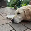 David Kramer - @david.kramer10 - TikTok