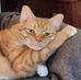 David Kreidler - Facebook