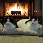 David William Kreidler - @davidkreidler73 - Instagram