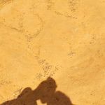 David de Kroon - @davidde.kroon - Instagram