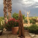 David Krueger - @david.krueger.758 - Instagram