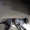 David Kudlata - @david.kudlata8 - TikTok