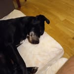 David Kudlata - @davidkudlata1 - Instagram