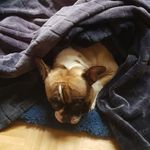 John David Kuhlmann - @johndavidkuhlmann - Instagram