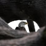 David Kujawa - @dkujawa05 - Instagram