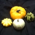 David Kujawa - @funpumpkins - Instagram