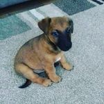 David Kunkel - @d.a.v.i.d.102 - Instagram