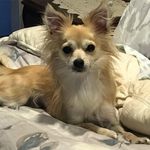 David Kunkel - @david.kunkel.395 - Instagram