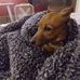 David Kuperus Kuperus - Facebook