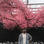 शुभम 01 - @davidkuri08 - Instagram