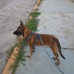 David Kuri - @why_pachi - Instagram