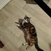 David Francis Courjan - Facebook