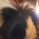 David Kusch - @david.kusch.509 - Instagram