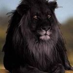 David Kužma - @15david04 - Instagram