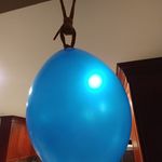 David Kuzma - @david.kuzma.52 - Instagram