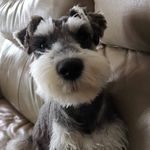 David Kwong - @david.kwong.509 - Instagram