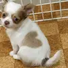 David Kwong - @2155173096 - TikTok