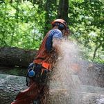 David Labombard - @david.labombard - Instagram