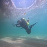 David LaBombard - @diving_with_dave - Instagram