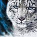 David Ludacka - Facebook