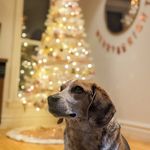 David Lahey - @mr.lahey - Instagram