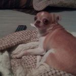 davidlahey - @davidlahey2857 - Instagram