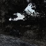 David Lahuerta - @lahuertadavid - Instagram