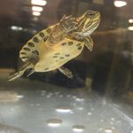 @david.lally - Instagram