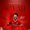 David.Lally - @david_lally - TikTok