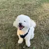 David Lam - @davidlam04 - TikTok