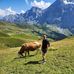 David Lamarre - Facebook