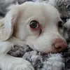 David Lamer - @david.lamer7 - TikTok