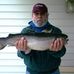 David A. Landes - Facebook