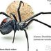 Mr. David Landes - amateur naturalist - Facebook