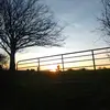 David Lanigan - @david.lanigan3 - TikTok